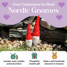 Load image into Gallery viewer, Nordic Gnomes Needle Felting Craft Kit