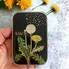 Load image into Gallery viewer, Dandelion Notions Tin: Large