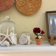 Load image into Gallery viewer, “You’re the best ‘Mum’” Chrysanthemum Felt Forever Flower: Dark Pink