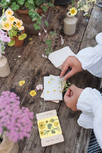 Load image into Gallery viewer, Pocket Flower Press - Vintage Buttercup