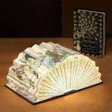 Load image into Gallery viewer, Modgy Light Book - Pride and Prejudice