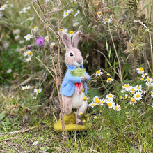 Load image into Gallery viewer, Beatrix Potter - Peter Rabbit and the Stolen Radishes Needle Felting Craft Kit
