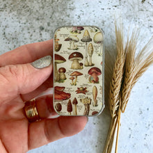 Load image into Gallery viewer, Mushroom Storage Tin: Small
