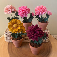 Load image into Gallery viewer, “You’re the best ‘Mum’” Chrysanthemum Felt Forever Flower: Dark Pink