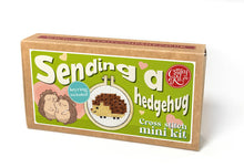 Load image into Gallery viewer, 'Sending a hedgehug' Mini Matchbox Cross Stitch Kit