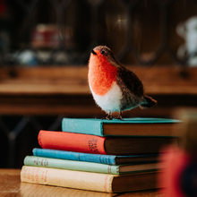Load image into Gallery viewer, British Birds Red Robin Needle Felting Craft Kit