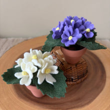 Load image into Gallery viewer, Primrose Felt Forever Flower (February Birth Month Flower): Purple