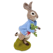 Load image into Gallery viewer, Beatrix Potter - Peter Rabbit and the Stolen Radishes Needle Felting Craft Kit