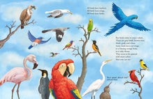 Load image into Gallery viewer, All the Birds in the World