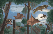 Load image into Gallery viewer, All the Mammals in the World