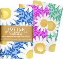 Load image into Gallery viewer, Jotter Mini Notebooks Set: Daisies