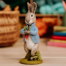 Load image into Gallery viewer, Beatrix Potter - Peter Rabbit and the Stolen Radishes Needle Felting Craft Kit