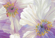 Load image into Gallery viewer, Poppies in Bloom Note Cards (14 cards, 15 self-sealing envelopes)