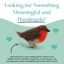 Load image into Gallery viewer, British Birds Red Robin Needle Felting Craft Kit