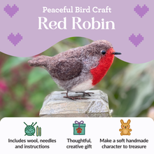 Load image into Gallery viewer, British Birds Red Robin Needle Felting Craft Kit