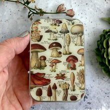 Load image into Gallery viewer, Mushroom Storage Tin: Small