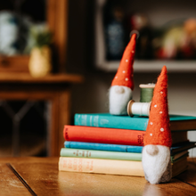 Load image into Gallery viewer, Nordic Gnomes Needle Felting Craft Kit