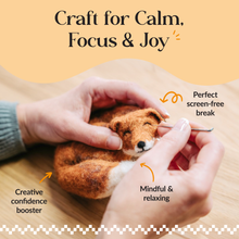 Load image into Gallery viewer, British Birds Red Robin Needle Felting Craft Kit