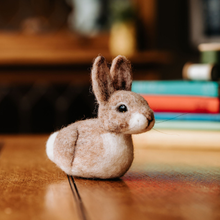 Load image into Gallery viewer, Baby Bunny Needle Felting Craft Kit