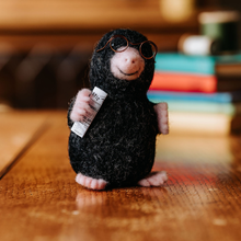Load image into Gallery viewer, Mr Mole Needle Felting Craft Kit
