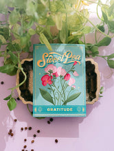Load image into Gallery viewer, Sweet Pea (Gratitude) - Floriography Seed Packet
