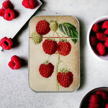 Load image into Gallery viewer, Raspberry Notions Tin: Large
