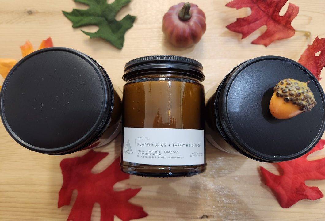 Pumpkin Spice and Everything Nice - Heart / Soul Candle