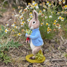 Load image into Gallery viewer, Beatrix Potter - Peter Rabbit and the Stolen Radishes Needle Felting Craft Kit
