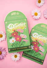Load image into Gallery viewer, Painted Daisies (New Beginnings) - Floriography Seed Packet
