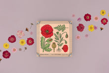 Load image into Gallery viewer, Flower Press - Corn Poppy
