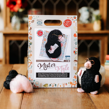 Load image into Gallery viewer, Mr Mole Needle Felting Craft Kit

