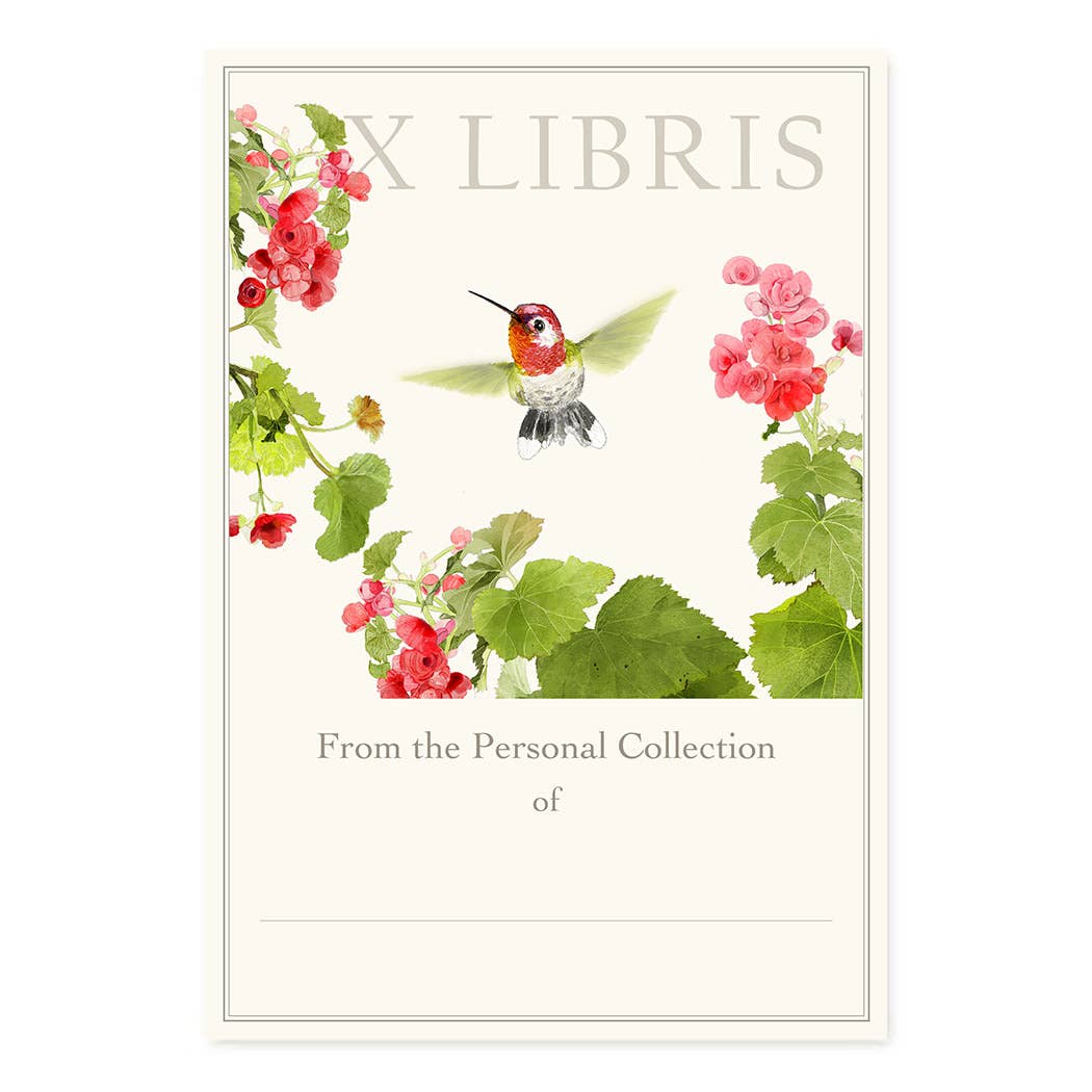 Anna's Hummingbird - Bookplates