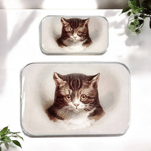 Load image into Gallery viewer, Cat Notions Tin: Large
