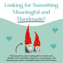 Load image into Gallery viewer, Nordic Gnomes Needle Felting Craft Kit
