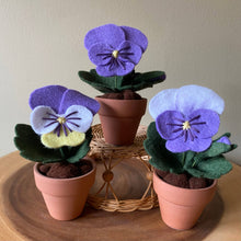 Load image into Gallery viewer, Pansy Felt Forever Flower: Sangria
