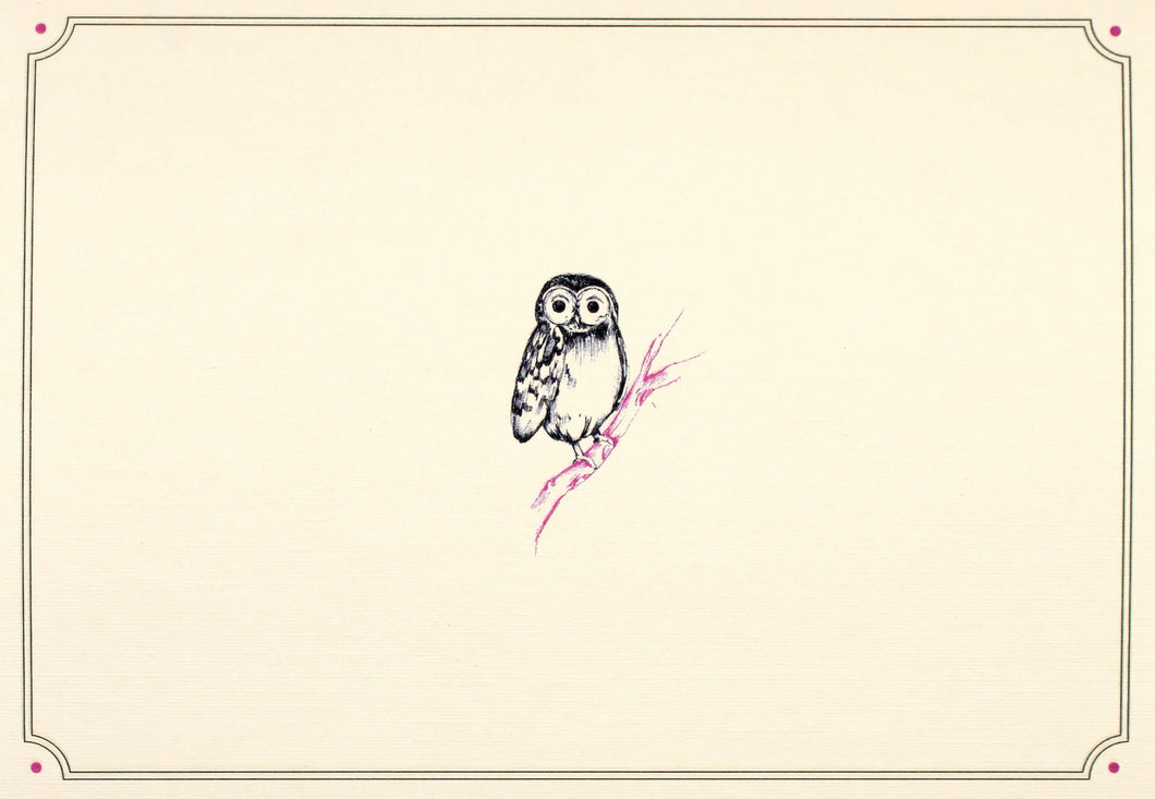 Owl Portrait Note Cards