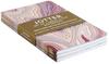 Jotter Mini Notebook Set: Agate