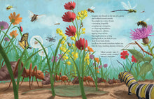 Load image into Gallery viewer, All the Insects in the World
