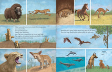 Load image into Gallery viewer, All the Mammals in the World
