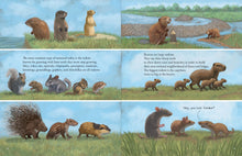 Load image into Gallery viewer, All the Mammals in the World
