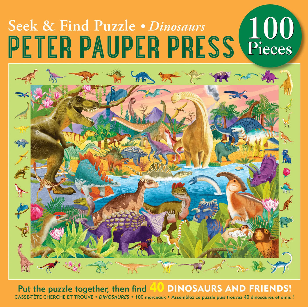 Dinosaurs Seek and Find Puzzle