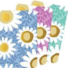 Load image into Gallery viewer, Jotter Mini Notebooks Set: Daisies
