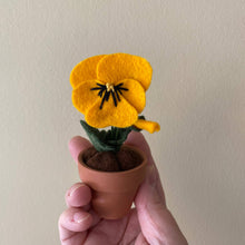 Load image into Gallery viewer, Pansy Felt Forever Flower: Peach

