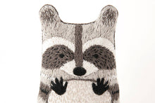 Load image into Gallery viewer, Raccoon Embroidery Kit
