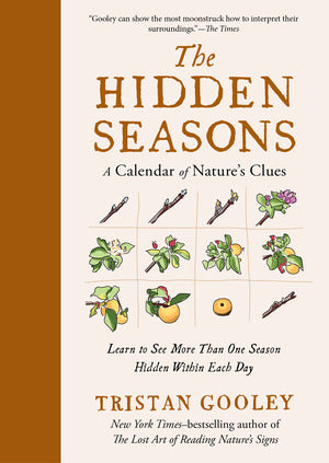 The Hidden Seasons