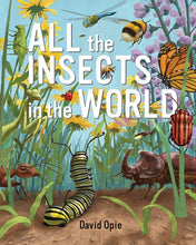 Load image into Gallery viewer, All the Insects in the World
