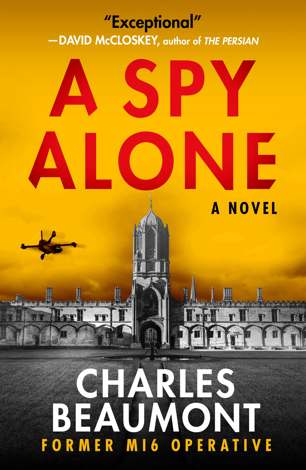 A Spy Alone