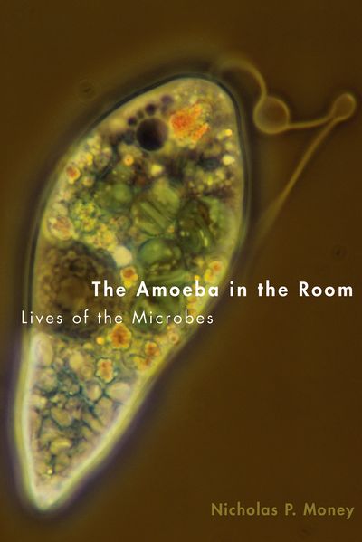 The Amoeba in the Room