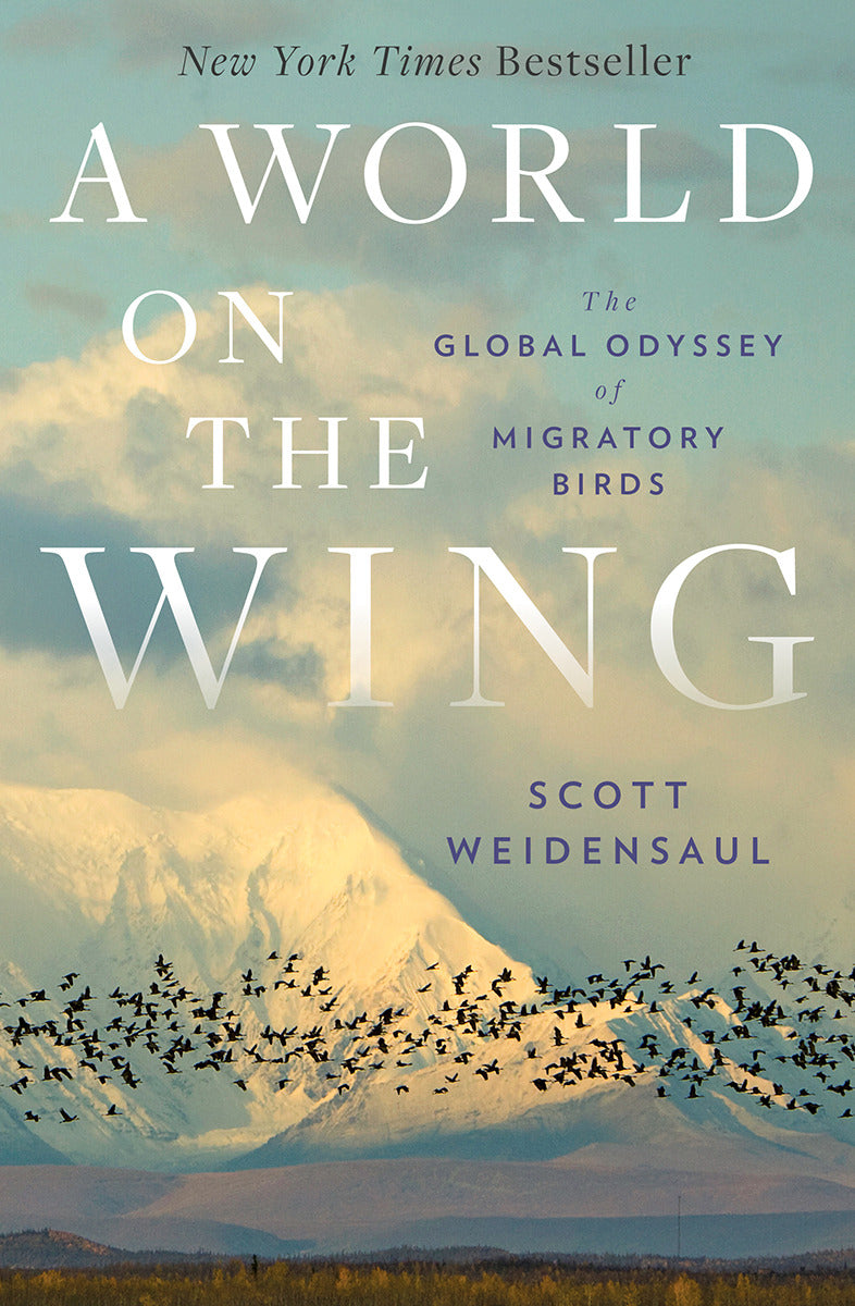 A World on the Wing
