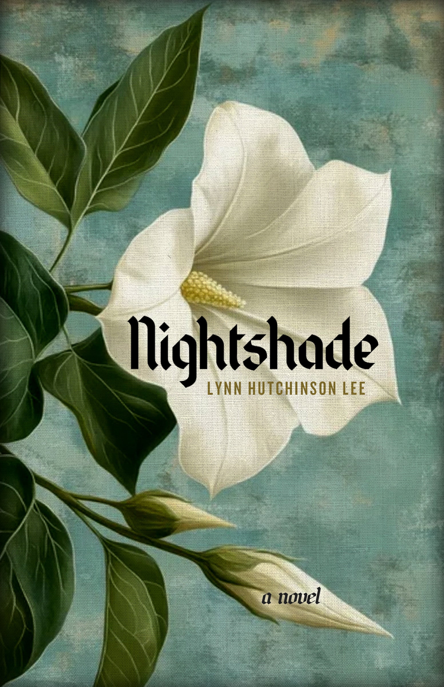 Entershine Book Club – Entershine Bookshop